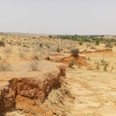 WhatsApp Image 2024-05-10 at 12.29.35 (1)